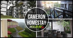 Cameron Homestay