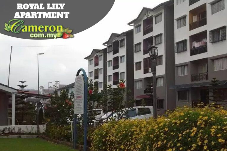 ROYAL-LILY-APARTMENT
