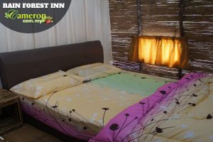 Rain-Forest-Inn
