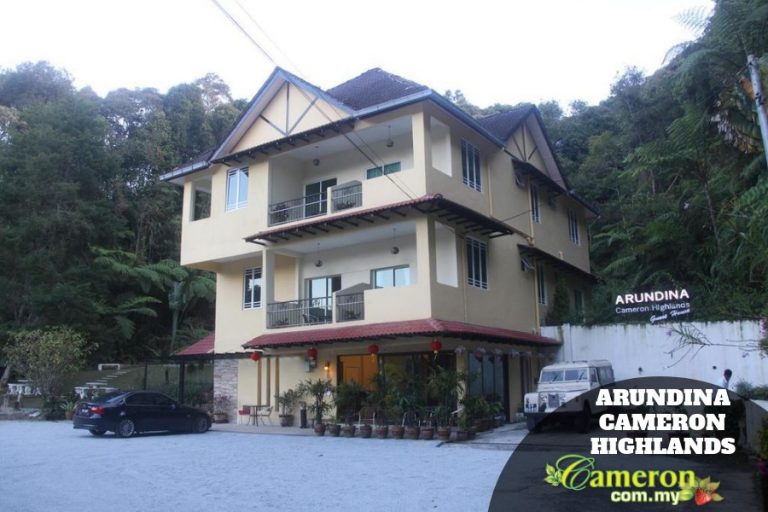 ARUNDINA-CAMERON-HIGHLANDS