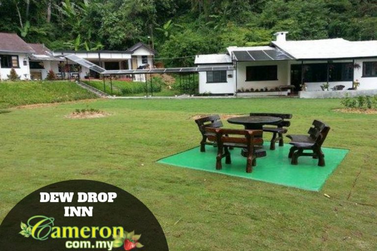 DEW-DROP-INN