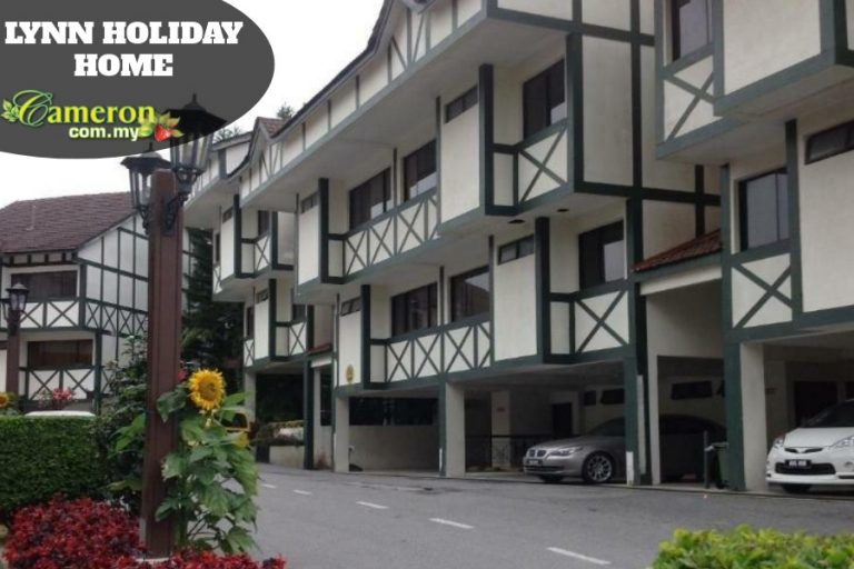 LYNN-HOLIDAY-HOME