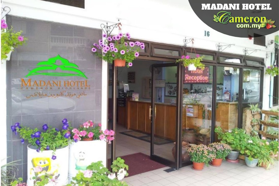 Madani-Hotel