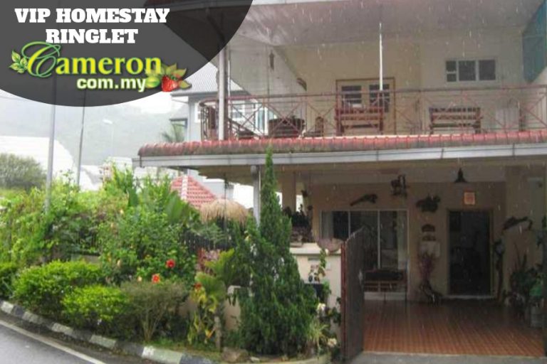 VIP-HOMESTAY-RINGLET