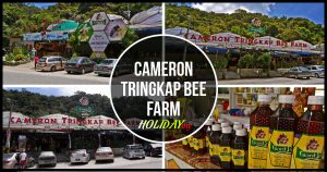 CAMERON TRINGKAP BEE FARM