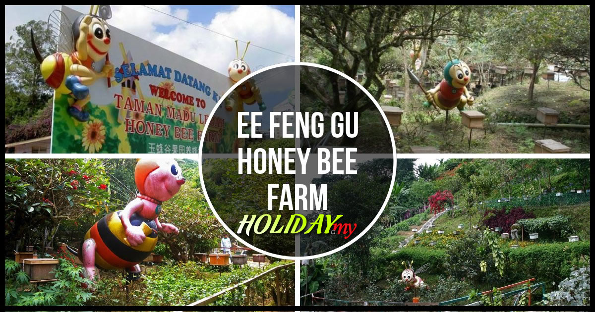 EE FENG GU HONEY BEE FARM