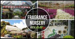 Fragrance Nursery