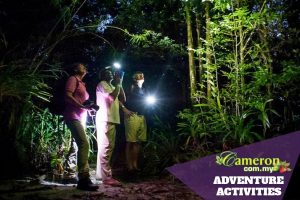JUNGLE-EXPLORATION