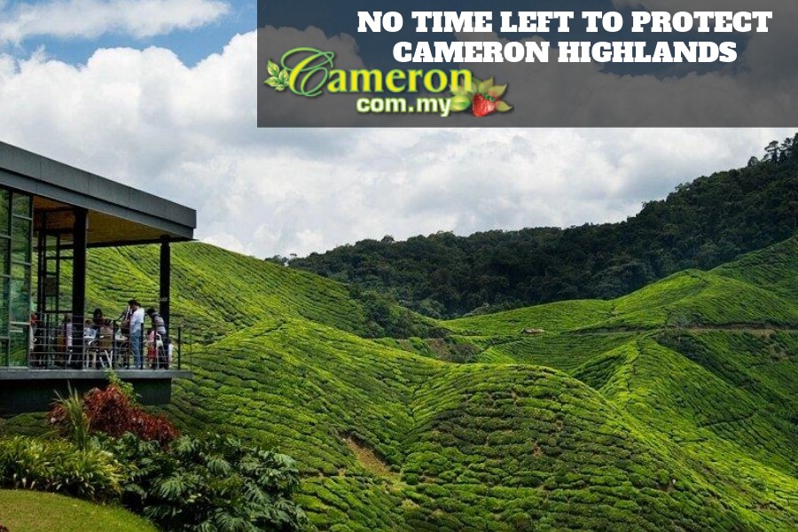 NO-TIME-LEFT-TO-PROTECT-CAMERON-HIGHLANDS