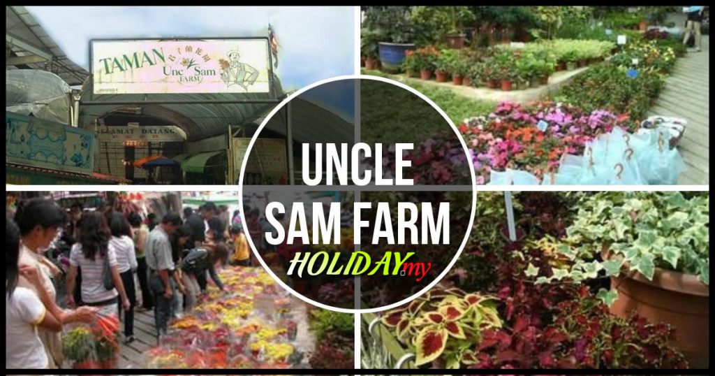 UNCLE SAM FARM