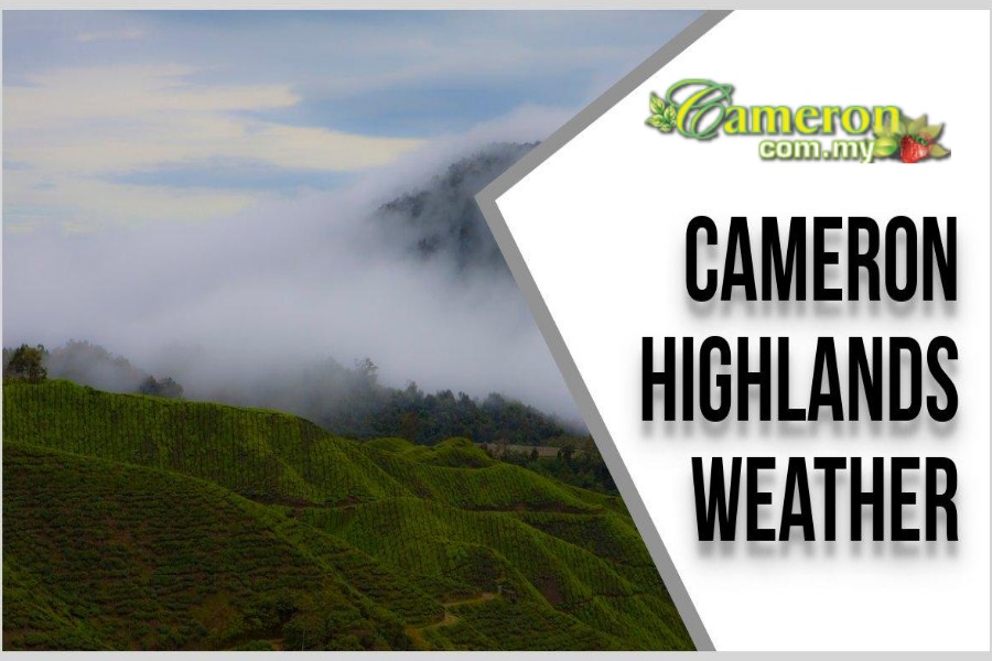 Cameron-Highlands-Weather