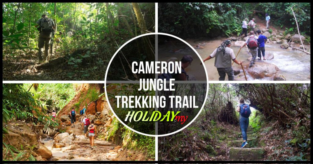 Cameron Jungle Trekking Trail