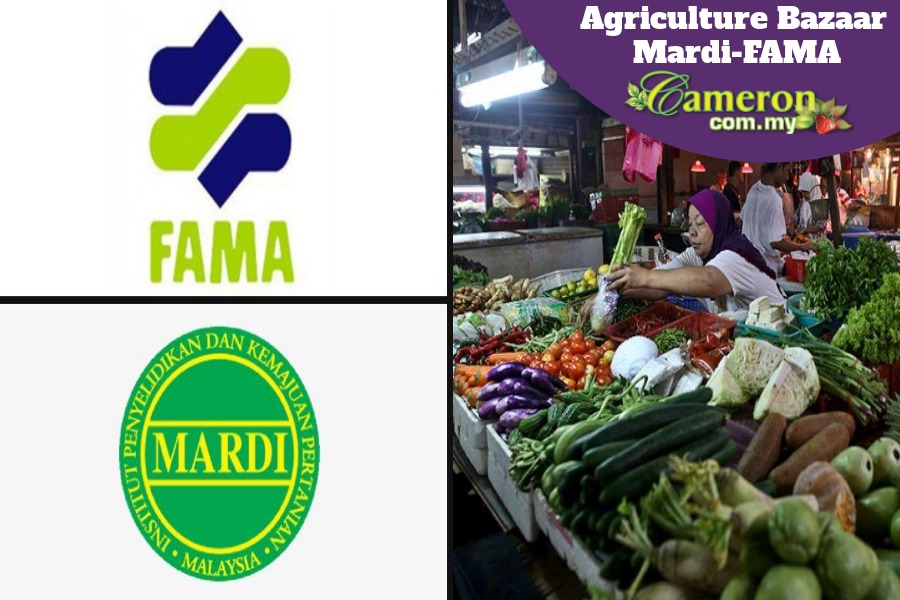 agriculture-agribazaar-Mardi-FAMA