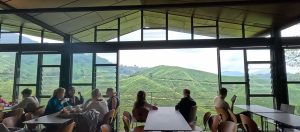 cameron-highlands-tour