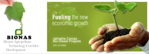 Bionas-agro-development