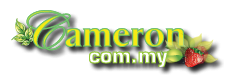 logo_cameron_highlands-trans