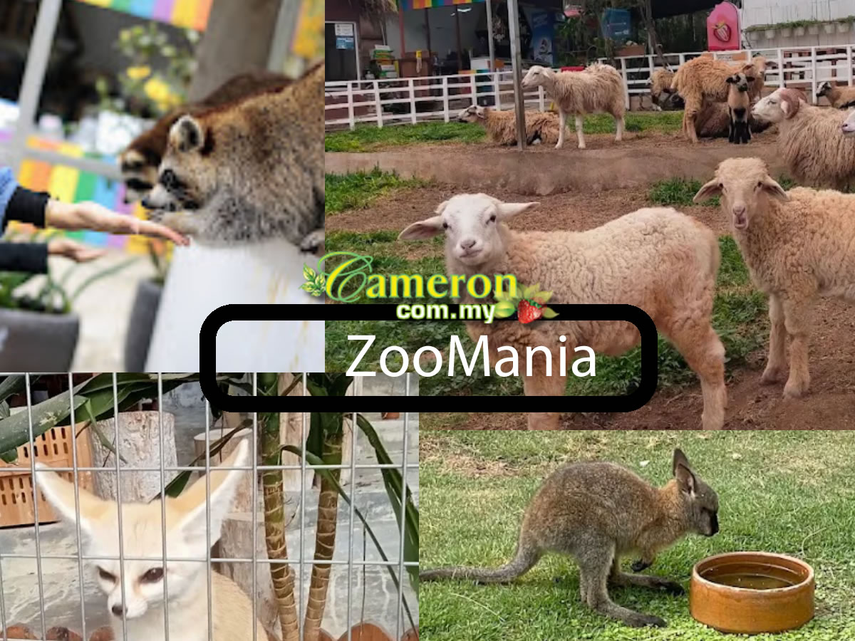 Zoomania