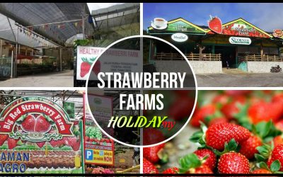 Strawberry Farms